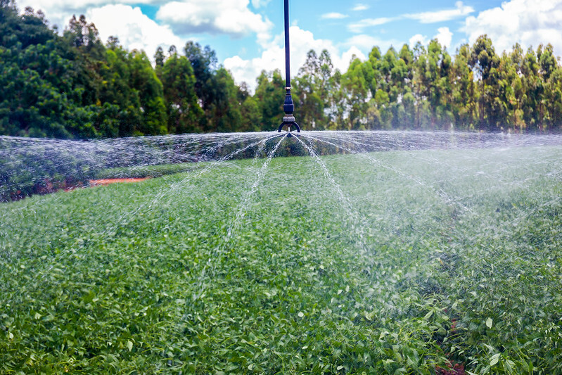 CNA defende que escolha do horário de desconto na energia no meio rural deve ser do consumidor