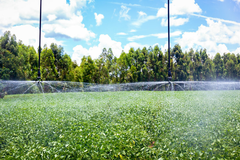 Senar lança websérie Brasil Irrigado no portal Senar Play   