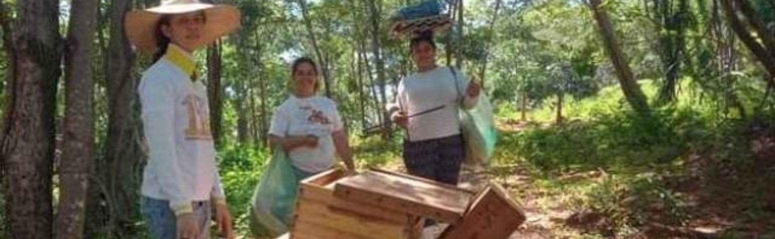 Apicultura cria nova fonte de renda DESTAQUE