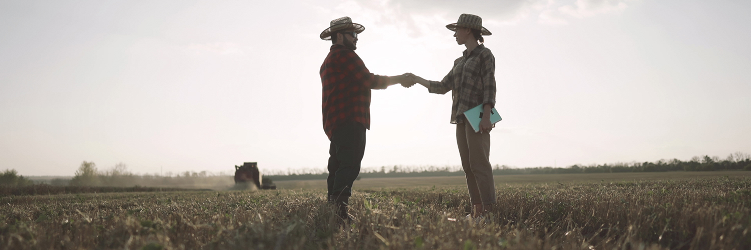 Artigo: Jornada 6×1: mais debate técnico, menos politicagem