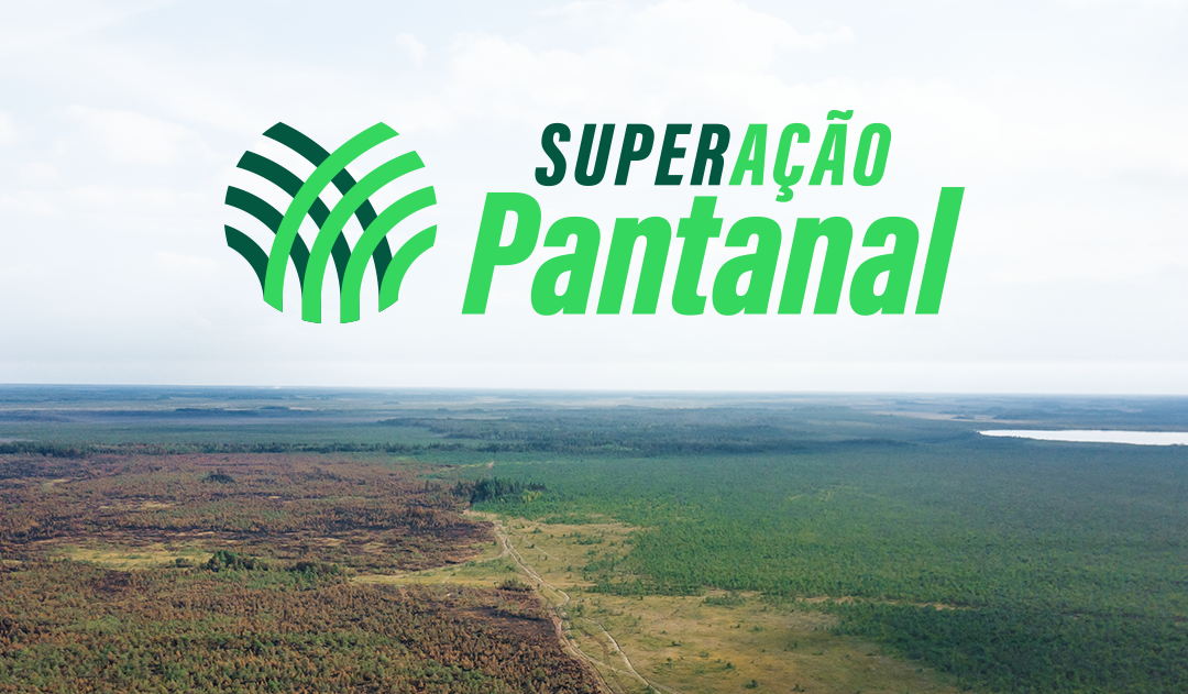 SuperAção Pantanal: Senar/MS ajuda produtores pantaneiros na recuperação após incêndios