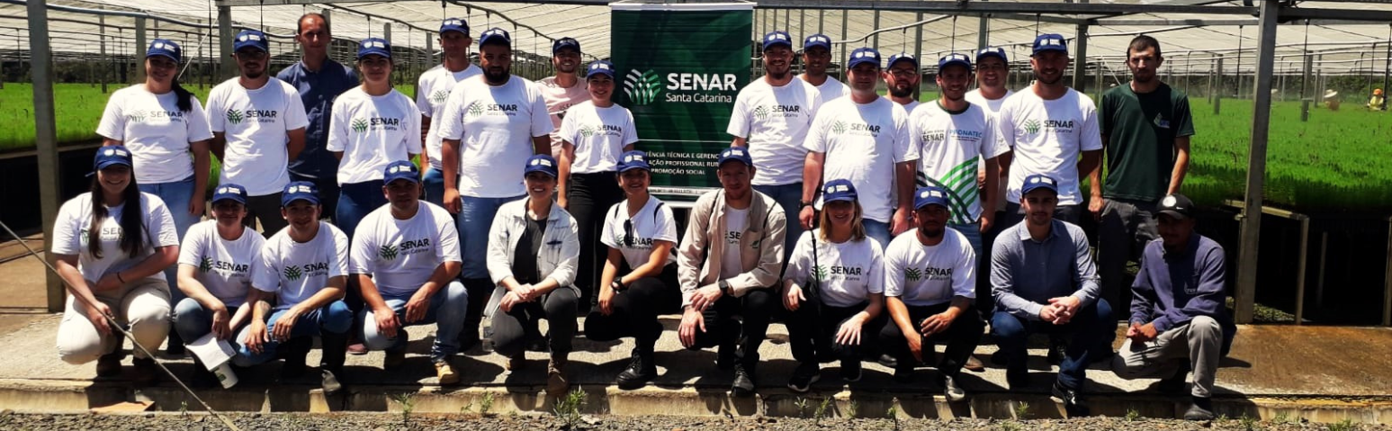 Alunos do Curso Técnico em Florestas conhecem etapas de produção florestal
