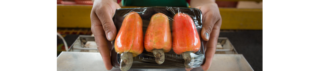 CNA debate desafios da pauta exportadora do agro brasileiro