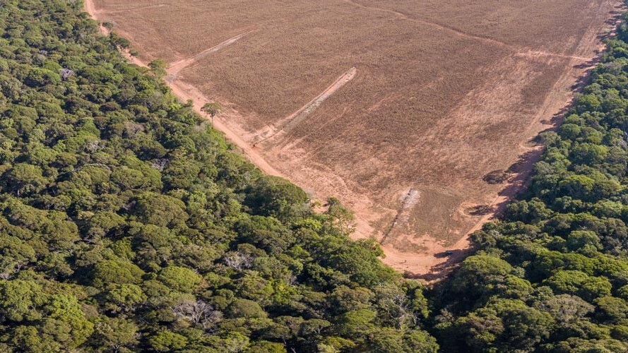 Com atuação do Sistema FAEP em Brasília, governo prorroga ratificação de imóveis em faixa de fronteira
