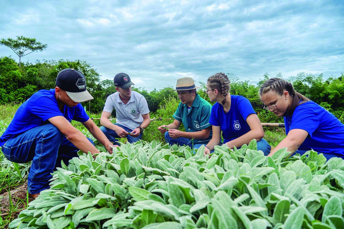 Agrinho dentro dos colégios agrícolas incentiva pesquisa científica