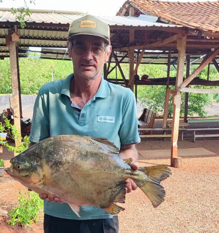Hilário Schoninger, produtor de peixe de Marechal Cândido Rondon (PR)