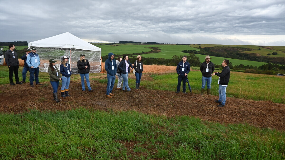 Dia de Campo de Solos reúne dezenas de produtores em Ponta Grossa