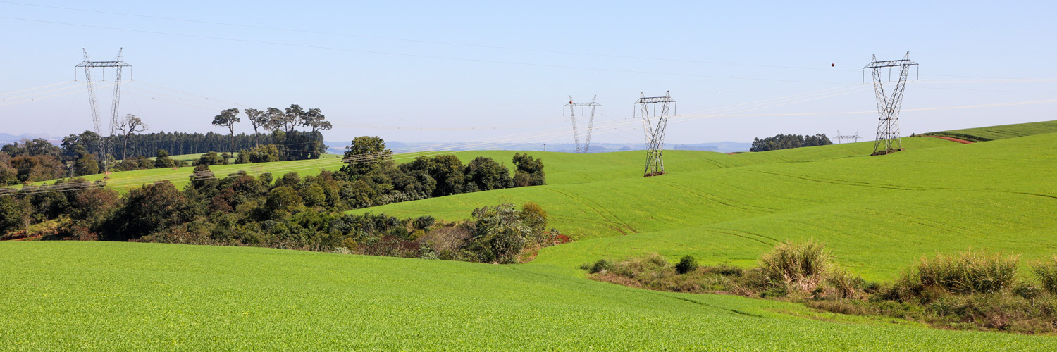 Lei que transfere limpeza do entorno da rede elétrica ao produtor é inadequada, afirma Sistema FAEP