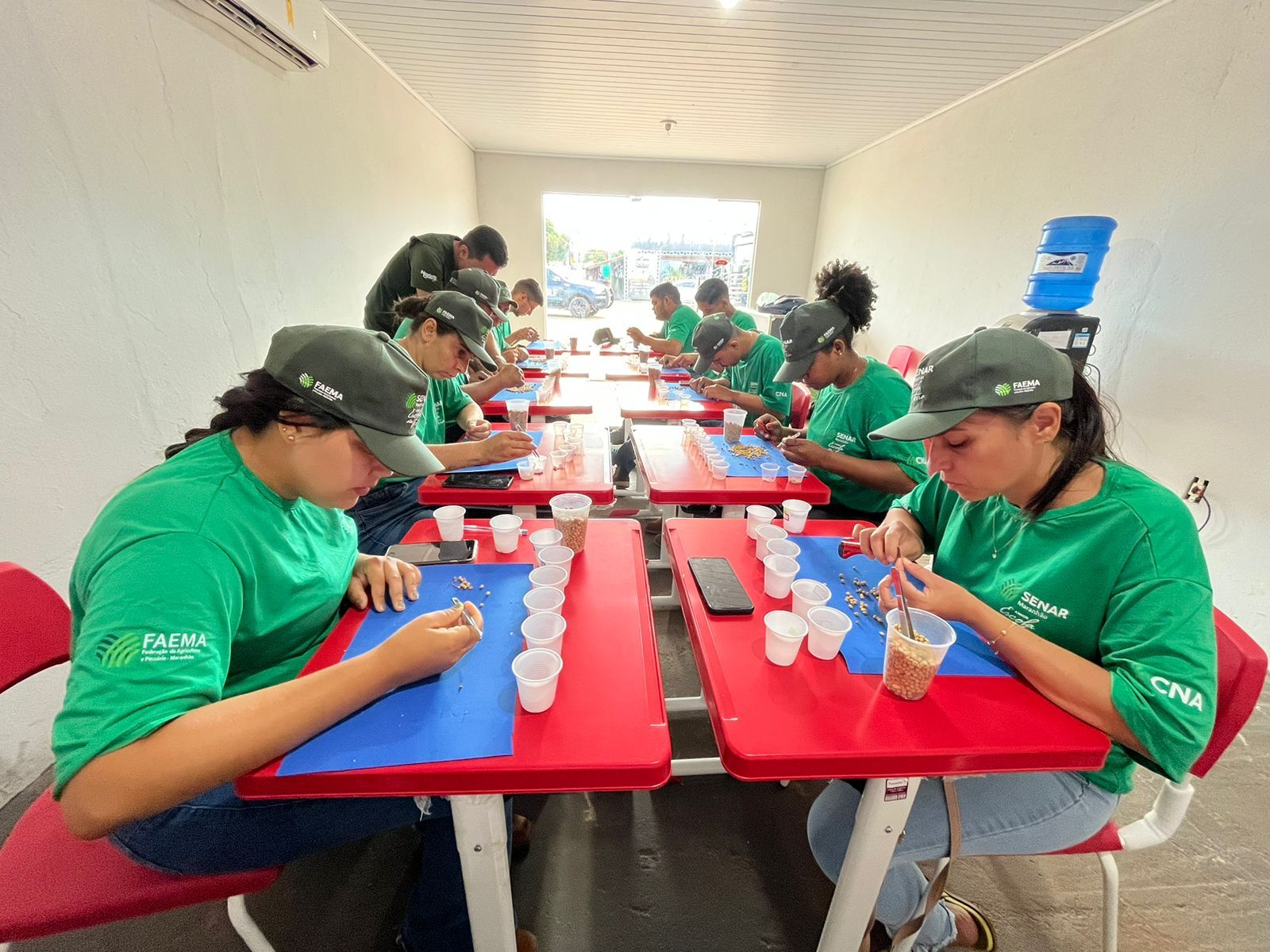 Alunos do curso de classificação de grãos