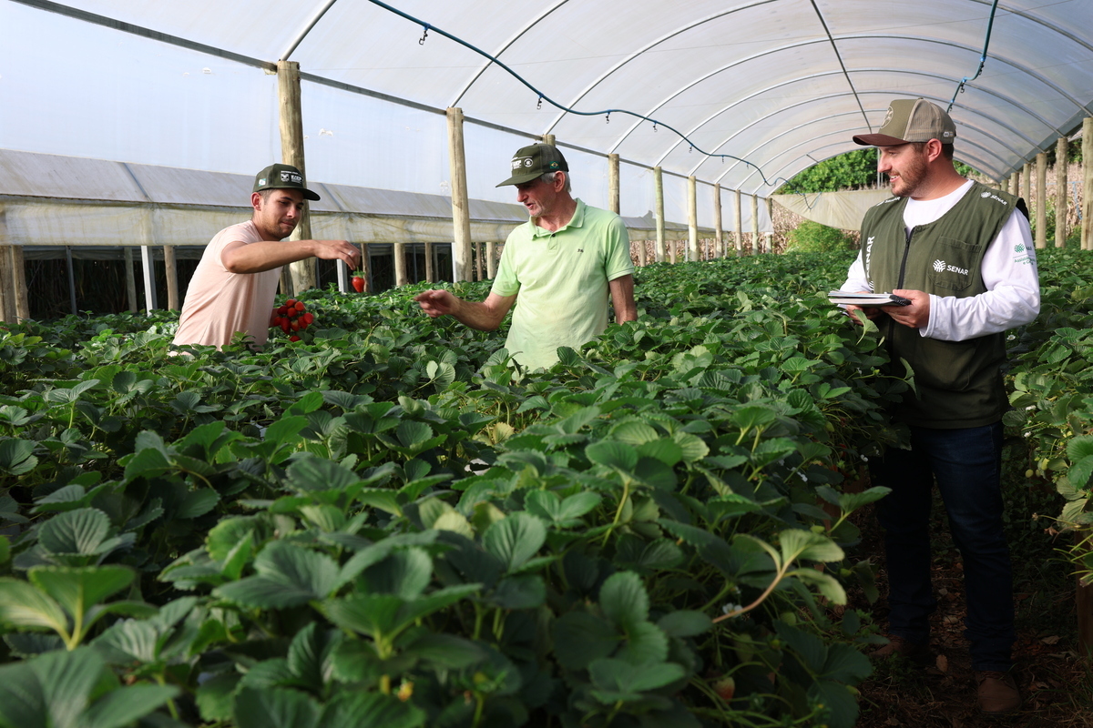 Produtor rural é determinante para o cumprimento de objetivos da ONU