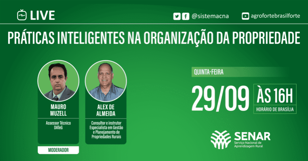 Praticas inteligentes na organizacao da propriedade