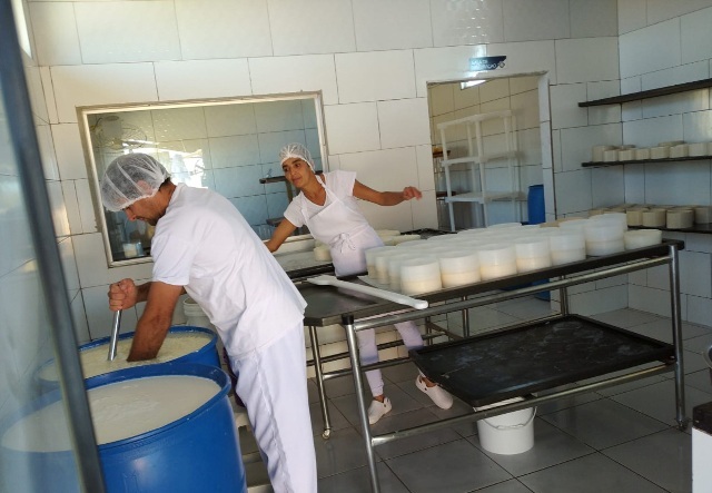 Produção de queijos em Tapira