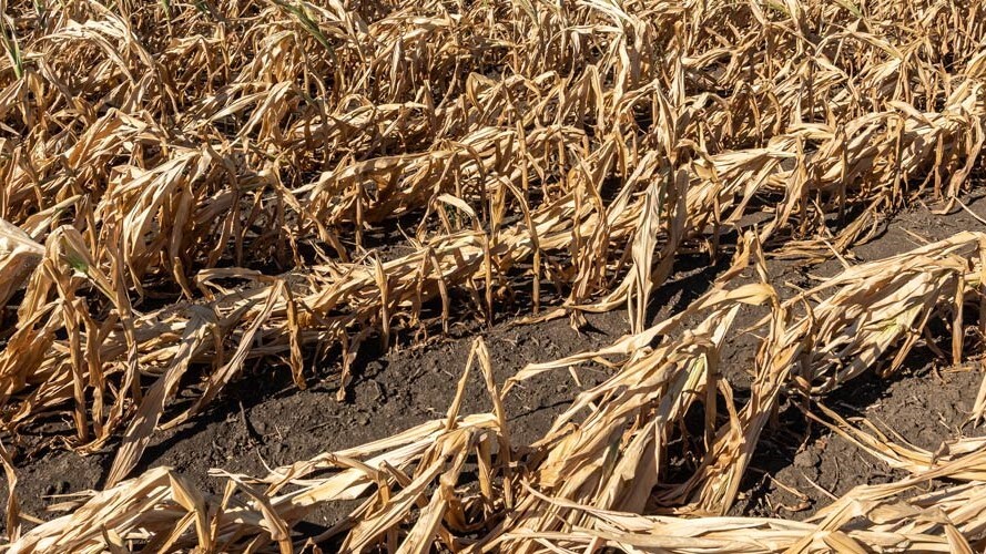 Sistema FAEP pede revisão de critério para renegociação de dívidas rurais