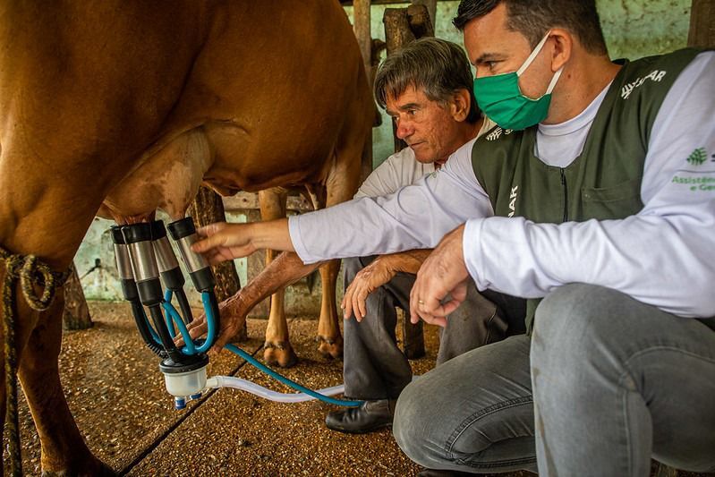 Preço do leite pago ao produtor rural não acompanha aumento do preço nos supermercados