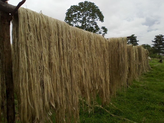 CNA debate iniciativas para o desenvolvimento da cadeia produtiva de fibras naturais