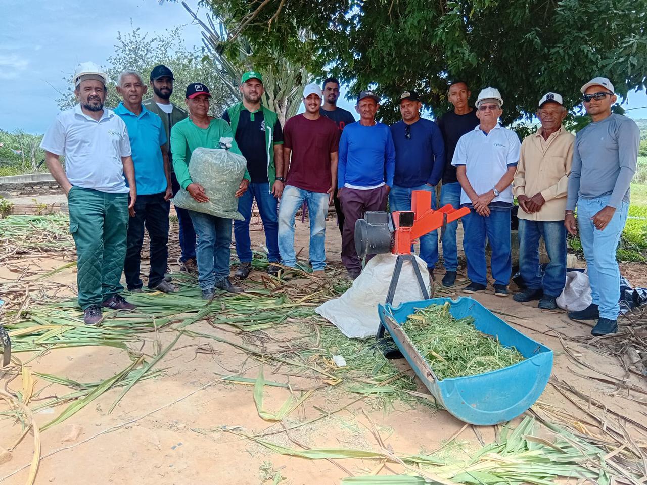 Curso do Senar capacita produtores e estudantes em produção e conservação de silagem em Eliseu Martins