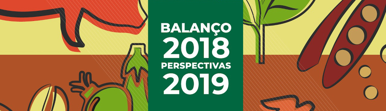 COLETIVA DE IMPRENSA - BALANÇO 2018 E PERSPECTIVAS 2019