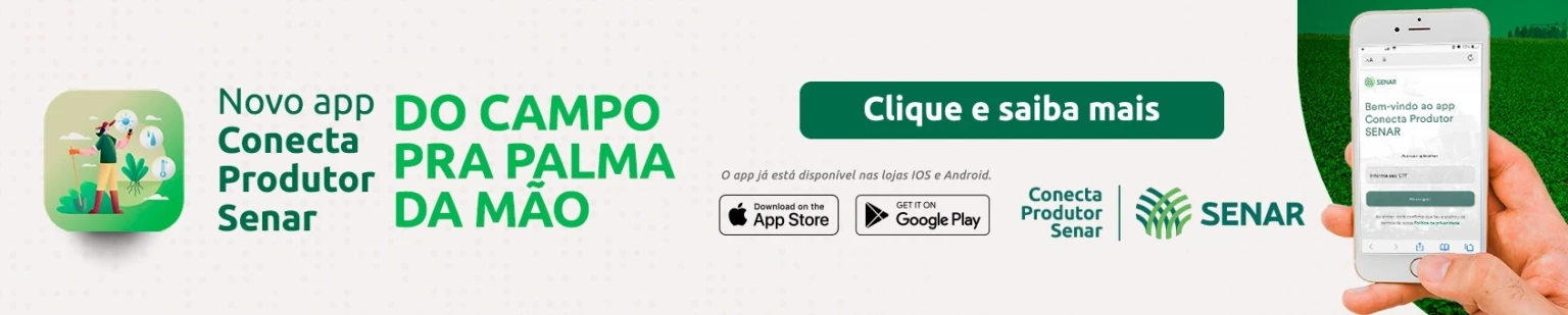 Imagem do banner rotativo