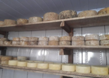 Mineiros entre os melhores queijos artesanais do país