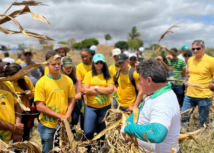 Dia de Campo leva conhecimento para aumentar a produtividade do milho em Sergipe