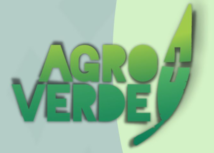 Agro +Verde incentiva preservação com insumos e assistência técnica em MG