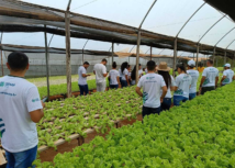 Alunos do Curso Técnico em Agronegócio do Senar Sergipe visitam produção de hortaliças hidropônicas