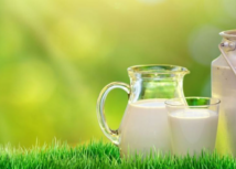 Oportunidades para propriedades rurais de leite no Espírito Santo