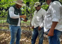 Agronordeste vai atender mais de duas mil propriedades rurais em Pernambuco
