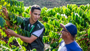 Propriedades rurais capixabas recebem mais de 100 mil visitas da ATeG de forma 100% gratuita