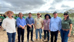 Dia de Campo do Projeto Forrageiras transforma o Semiárido paraibano em laboratório a céu aberto