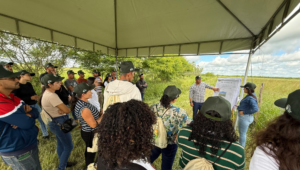 Faese realiza Dia de Campo do Projeto Forrageiras para o Semiárido em Nossa Senhora da Glória