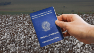 Empregos no agro baiano batem recorde histórico pelo segundo mês seguido