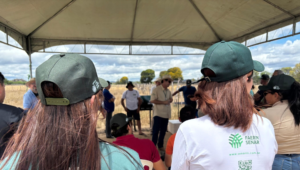 Projeto Forrageiras para o Semiárido avança para a segunda fase no RN