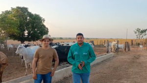 ATeG do Senar-MT impulsiona resultados na pecuária de Nova Xavantina