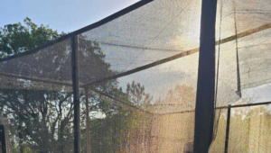 Capacitação do Pró-Mudas reúne participantes de quatro estados em Santa Catarina