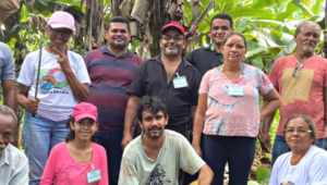 Produtores da ATeG em Pedra Branca recebem orientação para o uso do modelo agroflorestal na produção da banana