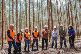 Mestres do Agro estreia hoje no YouTube do Sistema Famasul como o primeiro reality show do agronegócio brasileiro