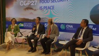 COP-27: Painel debate importância do solo para a segurança alimentar