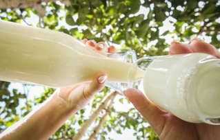 Leite garante sustento no campo e saúde à população