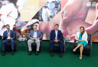 CNA mostra que margem de lucro do produtor foi menor em 2023 e cenário deve se manter em 2024