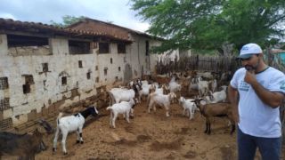 Negócio Certo Rural ajuda produtor a voltar da cidade para o campo
