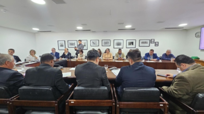 Setor produtivo discute impactos de importação de banana do Equador