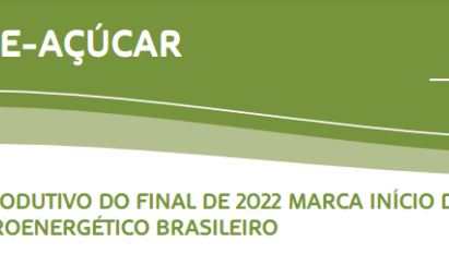CANA-DE-AÇÚCAR: CONTEXTO PRODUTIVO DO FINAL DE 2022 MARCA INÍCIO DO ANO PARA O SETOR SUCROENERGÉTICO BRASILEIRO