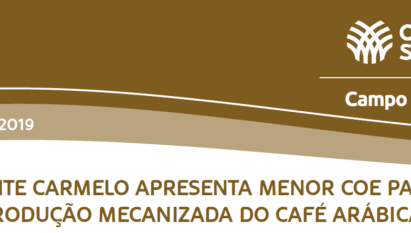 CUSTOS DE PRODUÇÃO DO CAFÉ EM MONTE CARMELO-MG