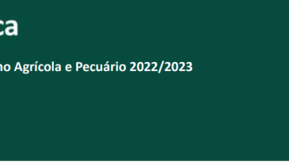 SÍNTESE DO PLANO AGRÍCOLA E PECUÁRIO 2022/2023