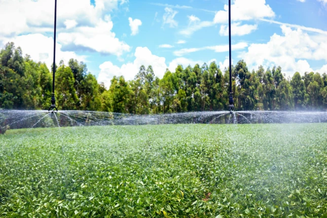 Senar lança websérie Brasil Irrigado no portal Senar Play   