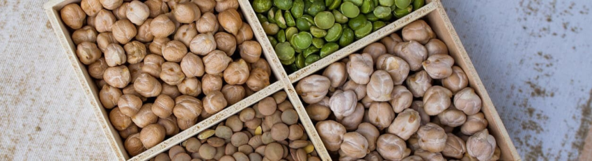 49488190127 674943ada5 k 1 1