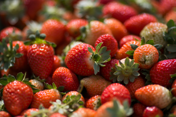 40652113751 6fc78d0eed k