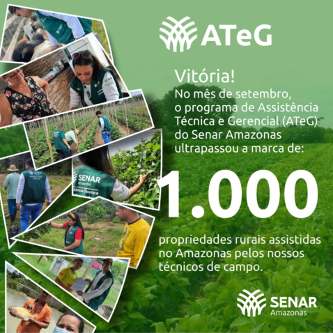 CARD ATEG 1 000 PRORPIEDADES