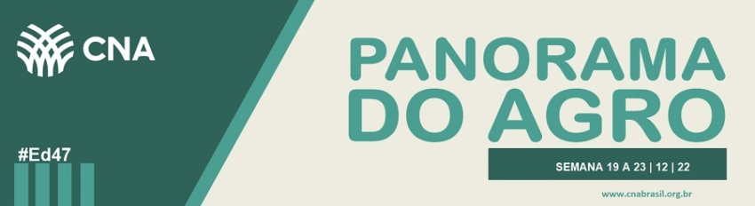 IMAGEM PA 19 A 23 DE DEZEMBRO